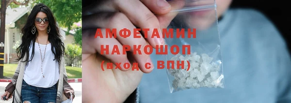 сатива Бородино