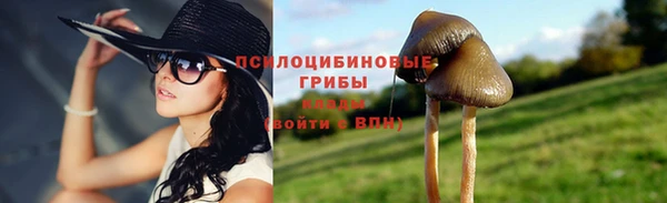 mix Верея