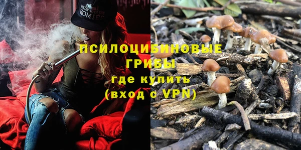 соль курить ск Медногорск